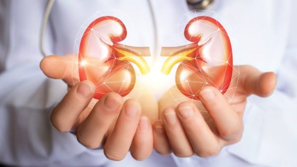 Kidney Problems in the World