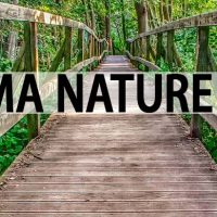 Finima Nature Park cover wooden bridge in forest