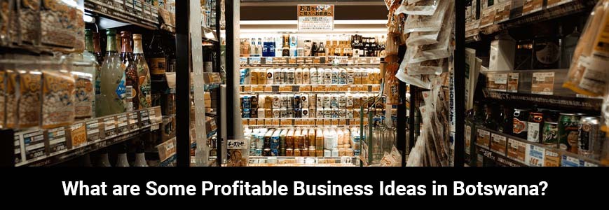 41 What are Some Profitable Business in Botswana
