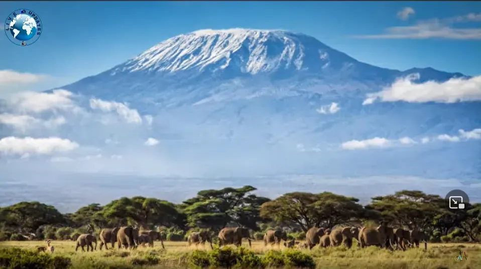 tallest mountain in africa